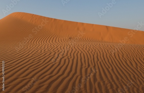 Red Sands in the Desert in Saudi Arabia
