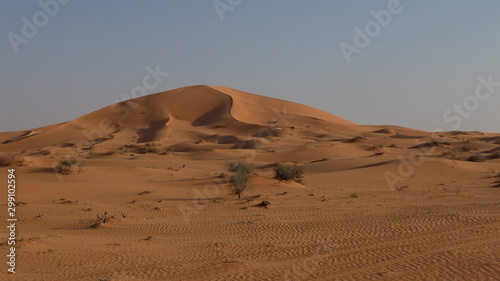 Star Dunes in the Nafud Desert close to Ha'il in Northern Saudi Arabia