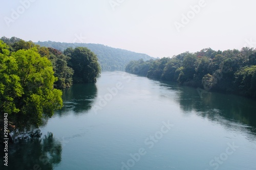 lake in forest