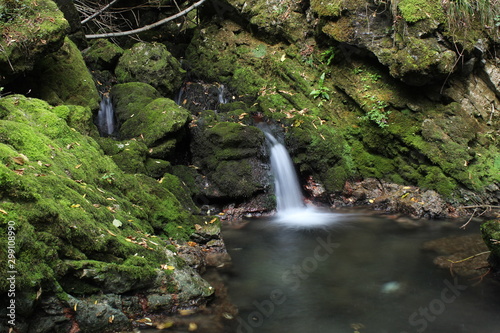 stream in forest by Sorgenti del Meschio(waterfall,nature,water,landscape,green,rock,stone,falls,mountain,tree,natura,acqua,verde,paesaggio,roccia,pietra,montagna,cascate) photo