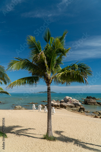 Fototapeta Naklejka Na Ścianę i Meble -  Tropical coast view with a palm tree, beach and stones
