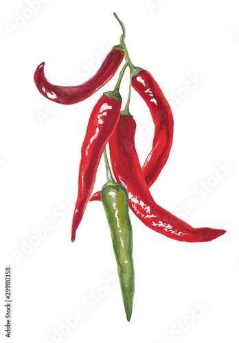 Red chili peppers isolated on white background.