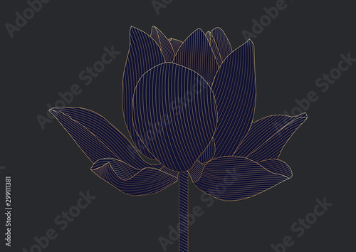 Luxury blue gold lotus flower floral on dark background vector illustration