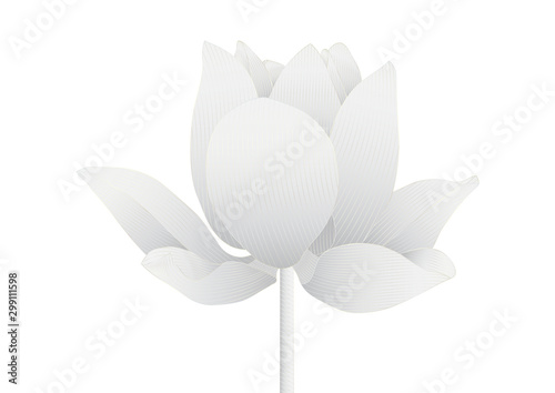 Luxury silver lotus flower on white background vector illustration