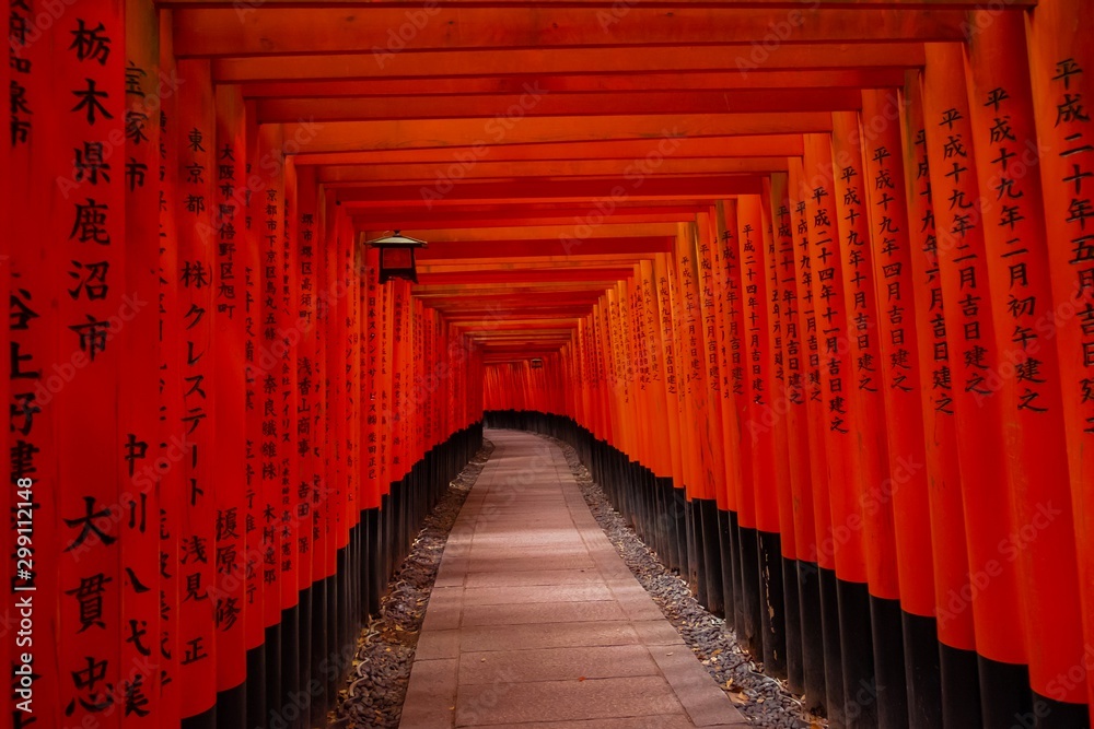Fototapeta premium Ścieżka Czerwonych Torii w świątyni Fushimi Inari, punkt orientacyjny Kioto, Japonia
