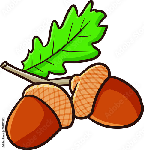 Funnya and cute two acorn with leave