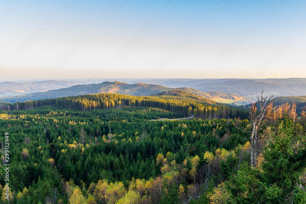 Aerial view to autumn forest from lookout Nebelstein on sunset, Austria landscape