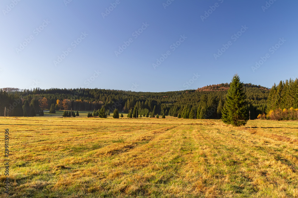 Fototapeta premium Nice autumn meadow with trees in Novohradske mountain, Czech republic