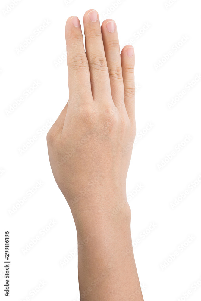 various gestures and sign of Woman's hand isolated on white background with clipping path. various gestures and sign of Woman's hand isolated on white background with clipping path.