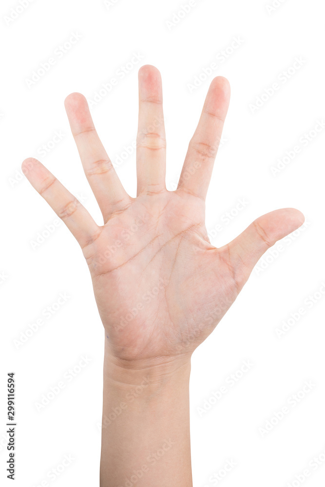 various gestures and sign of Woman's hand isolated on white background with clipping path. various gestures and sign of Woman's hand isolated on white background with clipping path.