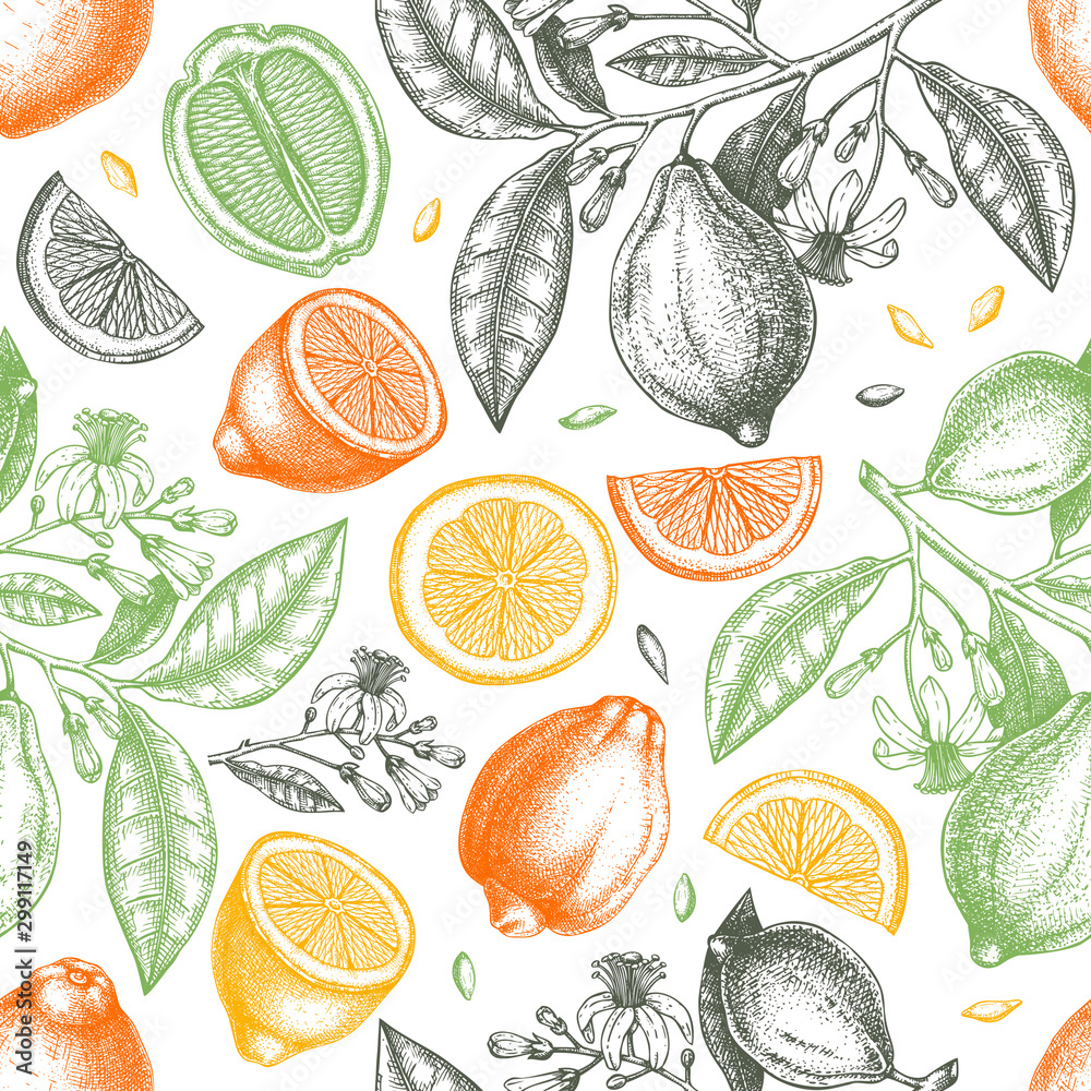 Ink hand drawn citrus fruits backdrop. Vector lemons seamless pattern with citrus fruits, flowers, seeds, leaves, branches sketches. Perfect for packing, greeting cards, invitations, prints.