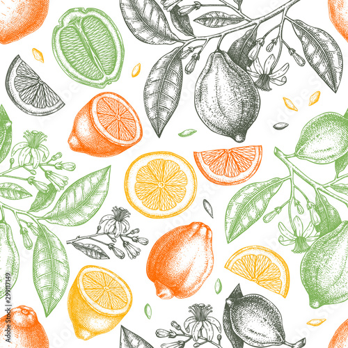 Ink hand drawn citrus fruits backdrop. Vector lemons seamless pattern with citrus fruits, flowers, seeds, leaves, branches sketches. Perfect for packing, greeting cards, invitations, prints.