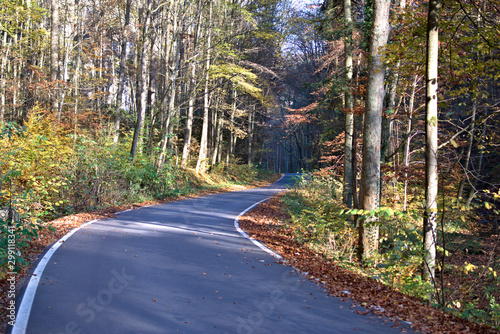 Wild nature in Czech area called Moravský kras