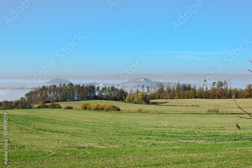 Wild nature in Czech area called Moravský kras