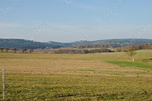 Wild nature in Czech area called Moravský kras