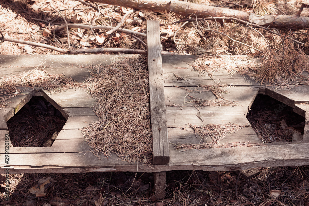 Obraz premium The bottom of the wooden toilet with hole in the floor.