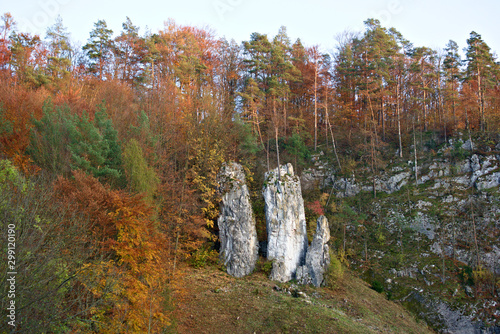 Wild nature in Czech area called Moravský kras