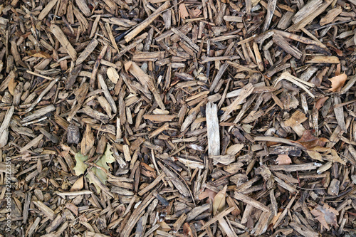 small branches and brown wooden sticks in the ground