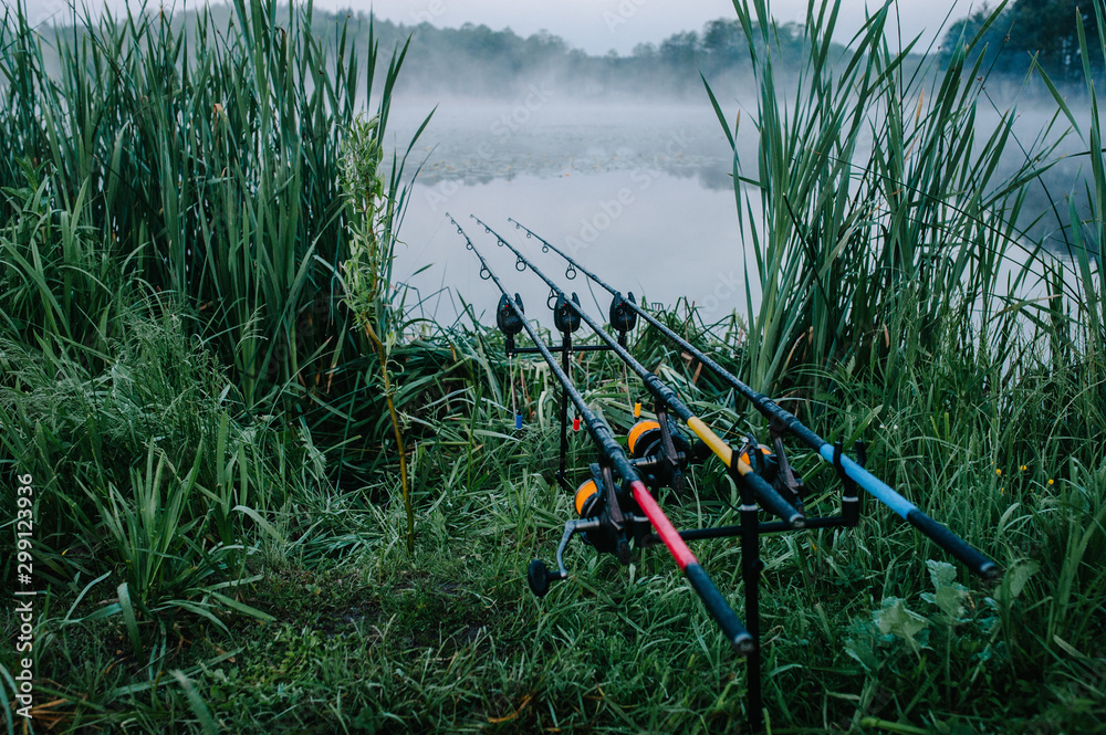 Naklejka premium Three carp fishing rods in rod pod on a background of lake and nature. Fishing background. Carp fishing. Misty morning. Holder rods. wilderness area. Signaling devices.