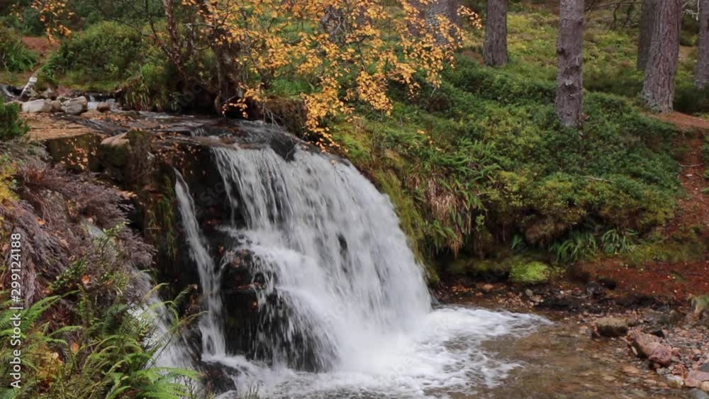 waterfall motion/pan in the cairngorms national park, Scotland, during the autumn with orange and yellow leaf birch, larch and pine trees and forest background. waterfall motion/pan in the cairngorms national park, Scotland, during the autumn with orange and yellow leaf birch, larch and pine trees and forest background.