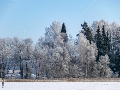 beautiful winter landscape with white and snowy trees