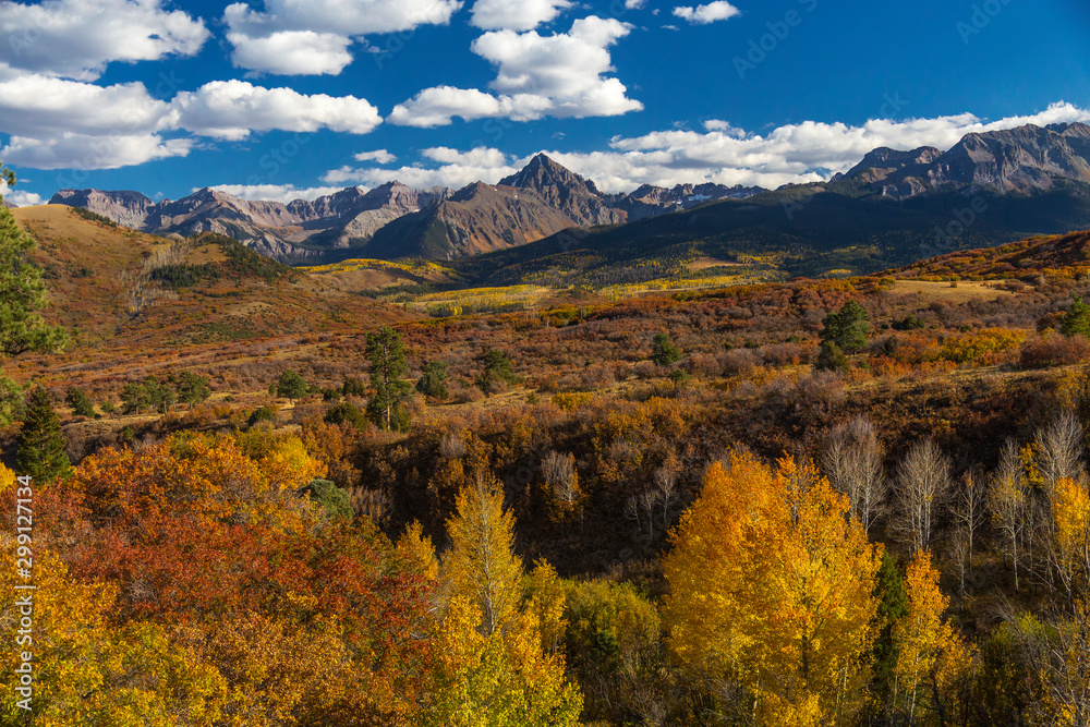 Colorado Aspen Fall Color in the Rocky Mountains, Kebler Pass