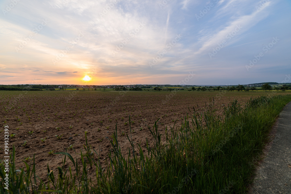 Abendrot überm Feld