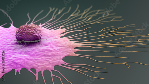 Schilderij op canvas Scientific illustration of a migrating breast cancer cell - 3d illustration