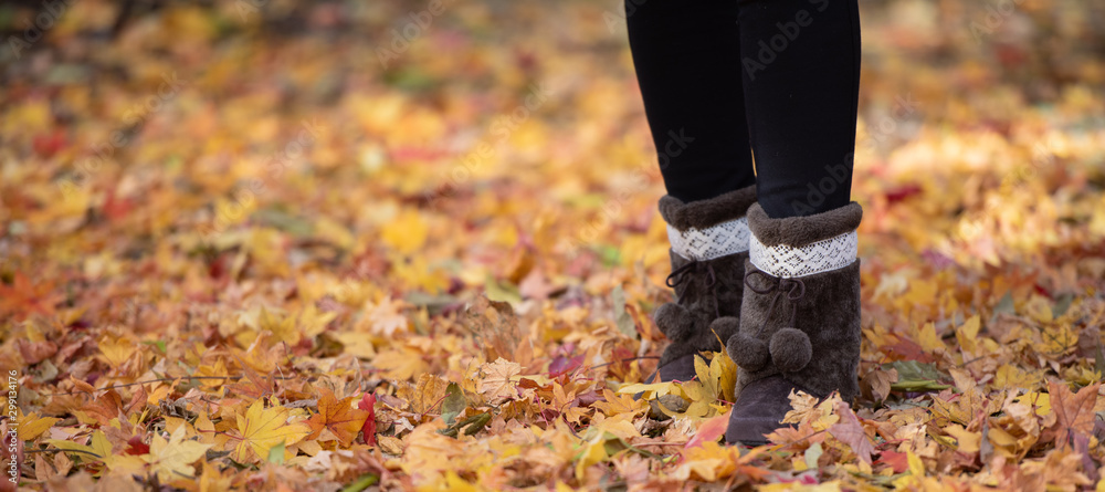 Fototapeta Happy fall autumn season for banner background, Young woman wearing shoes on maple leaves.