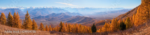 Panoramic autumn view