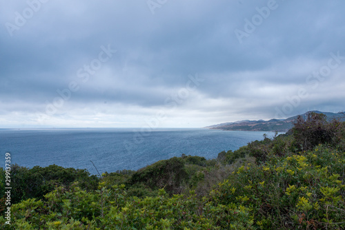 Coast of mountains and vegetation in the natural park of Algeciras in Spain © Jesus-Salas-Dual