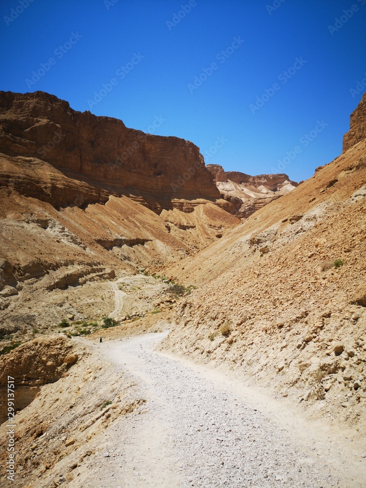 mountainous desert mountainous desert
