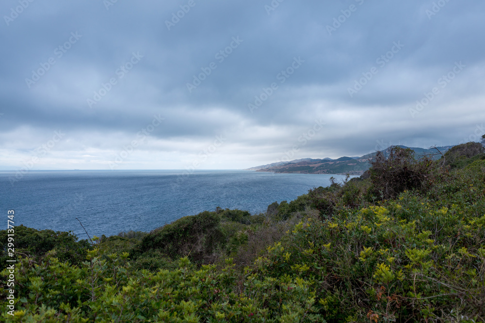 Coast of mountains and vegetation in the natural park of Algeciras in Spain