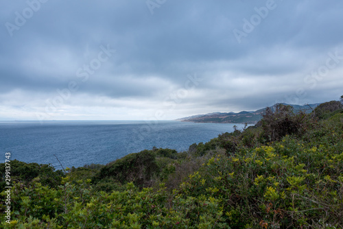 Coast of mountains and vegetation in the natural park of Algeciras in Spain