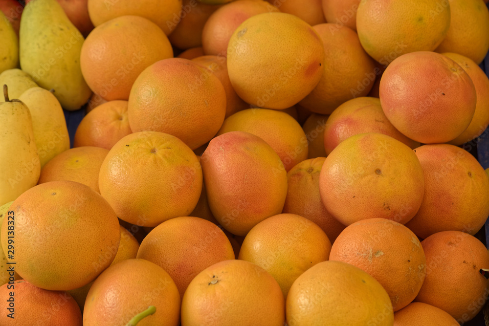 Group of grapefruits displayed on grocery counter. Front View.