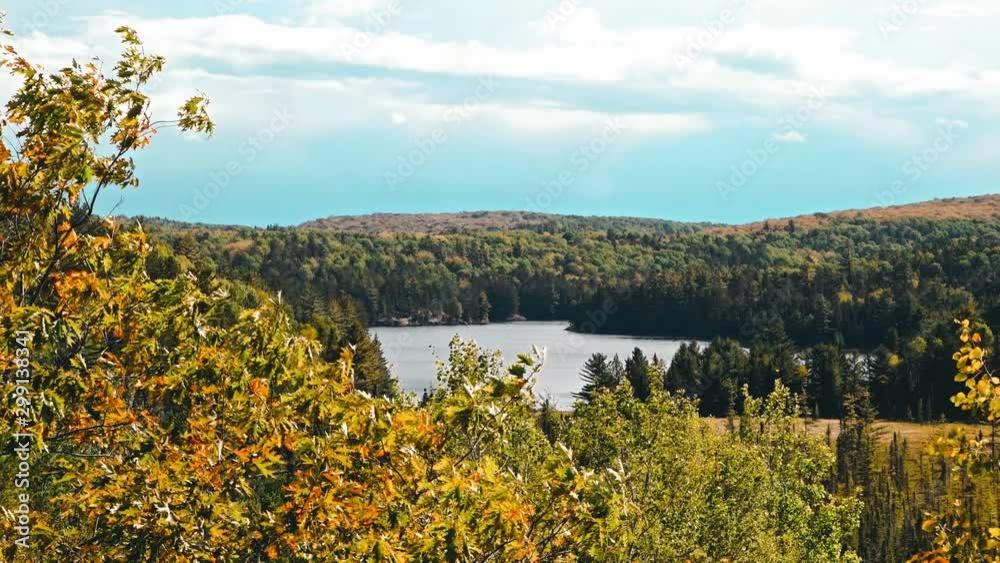 View over a lake in Algonquin Park in Canada View over a lake in Algonquin Park in Canada