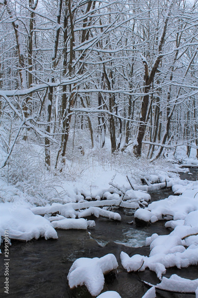 Fototapeta premium Snowy creek view after a heavy snow fall