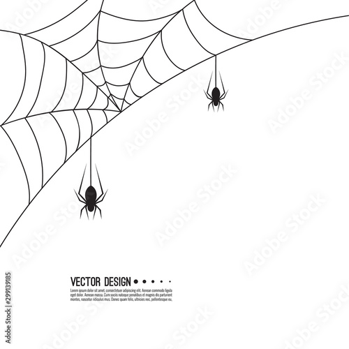 Vector illustration of creepy spider web and a spider. Decoration cobweb for Halloween
