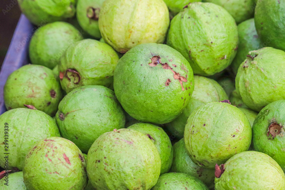 Heap Bunch of Guava Fruit Whole Fresh From Farm in Market Decoration and Sale Heap Bunch of Guava Fruit Whole Fresh From Farm in Market Decoration and Sale