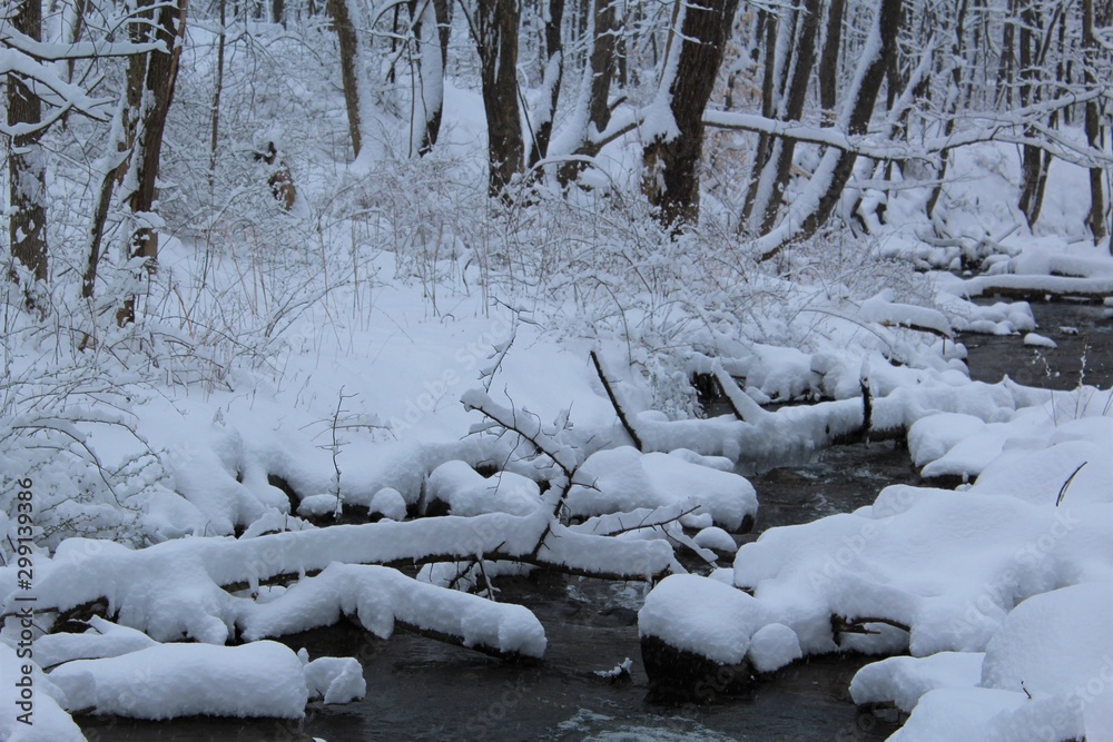 Snowy creek view after a heavy snow fall Snowy creek view after a heavy snow fall