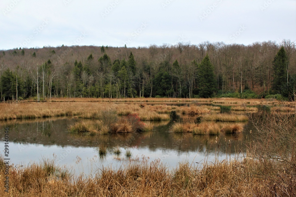 Piney Dam in Frostburg, Maryland