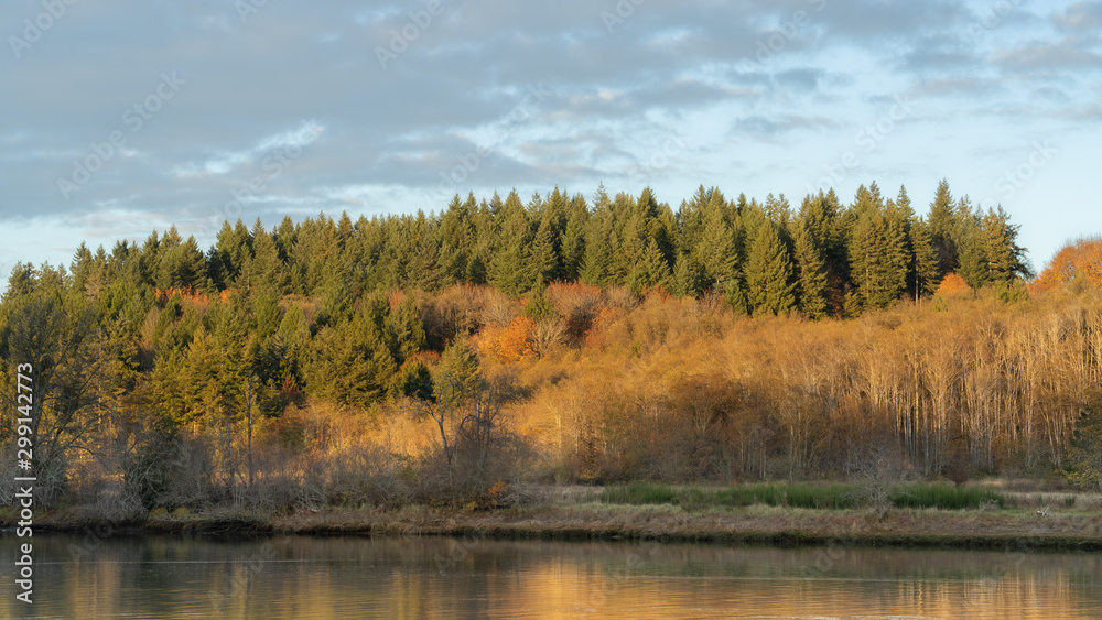 Mud Bay Autumn Colors At Sunset Mud Bay Autumn Colors At Sunset