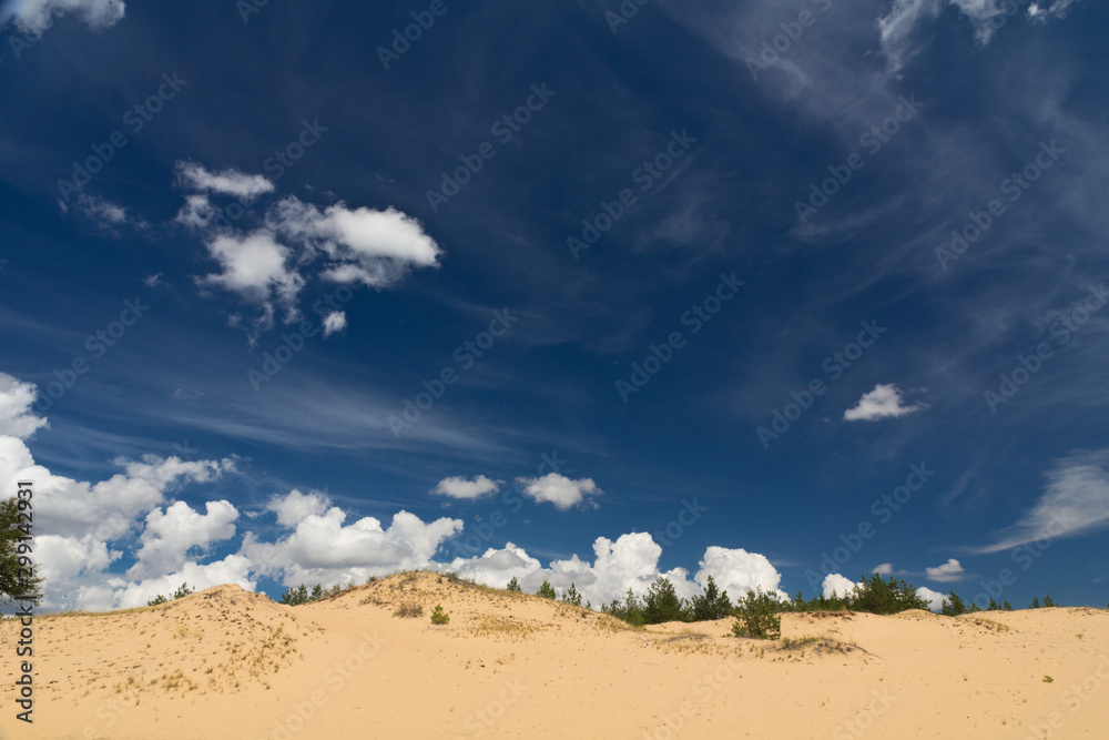 Summer landscape with sand dunes and wild grass bushes. Impressive blue sky