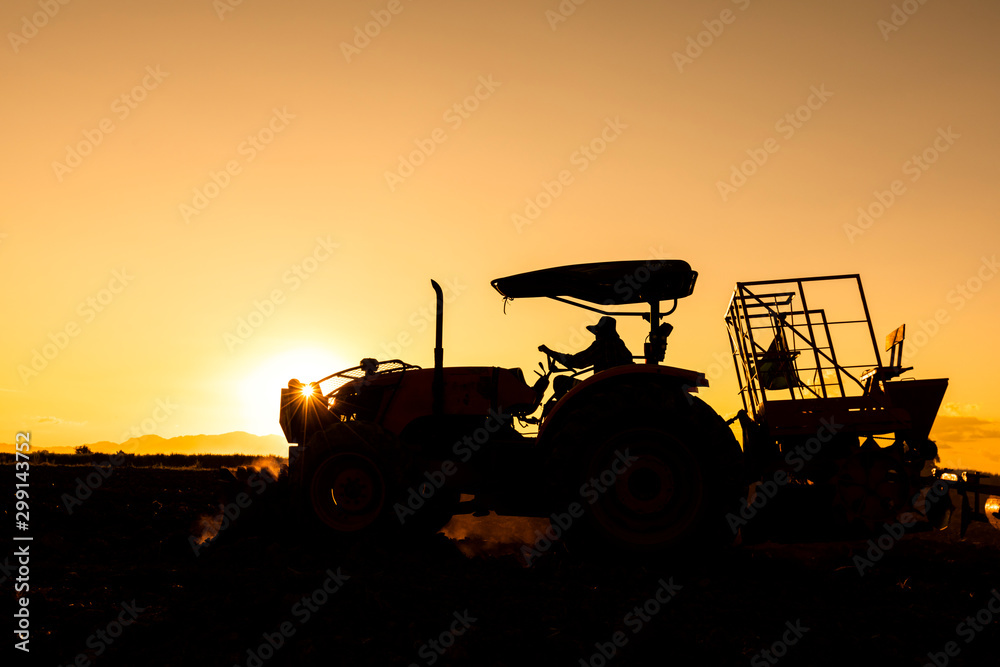 silhouette man controling agrilultural tractor for can p;antation silhouette man controling agrilultural tractor for can p;antation