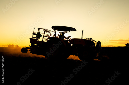 silhouette man controling agrilultural tractor for can p;antation photo