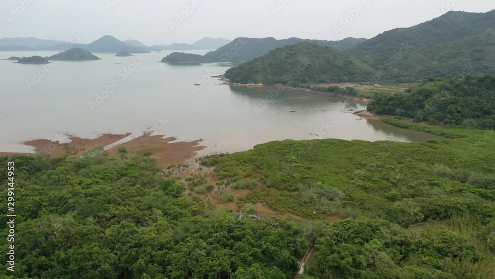 Aerial view of Mangrove and seashore at Hong Kong Aerial view of Mangrove and seashore at Hong Kong