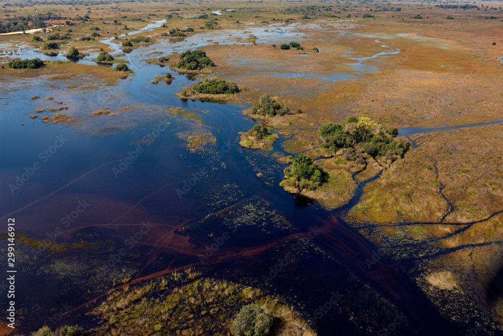Aerial view - Okavango Delta - Botswana - Africa