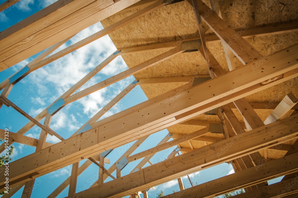 Wooden Roof Structure