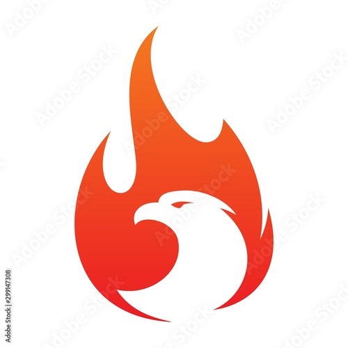 Eagle fire vector icon in abstract style on the white background