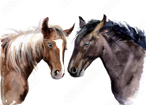 Cute watercolor horses on the white background © Татьяна Комцян